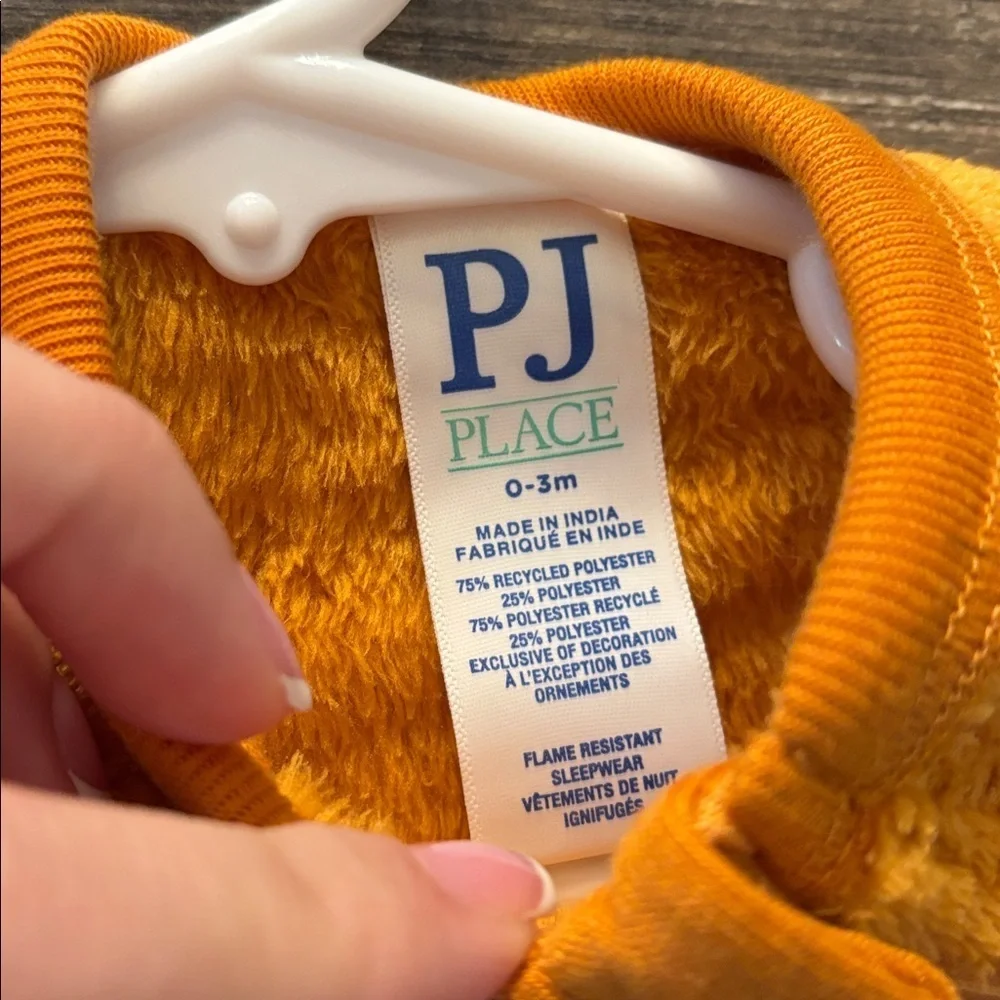 Place Orange Fox Footie One Piece
